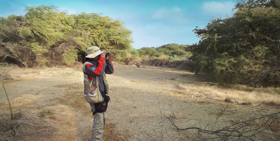 MEIA DEL PMRT – Proyecto Construcción e instalación de la Línea de Transmisión eléctrica desde la S.E Pariñas hasta la Refinería Talara