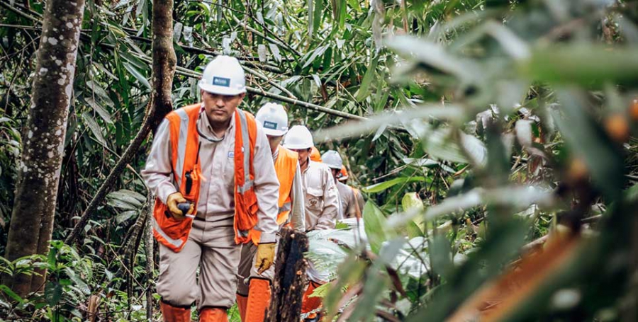 Monitoreo Biológico y de Revegetación de los Proyectos de Desarrollo y Operación – Lote 57